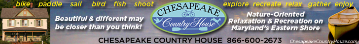 Chesapeake Country House