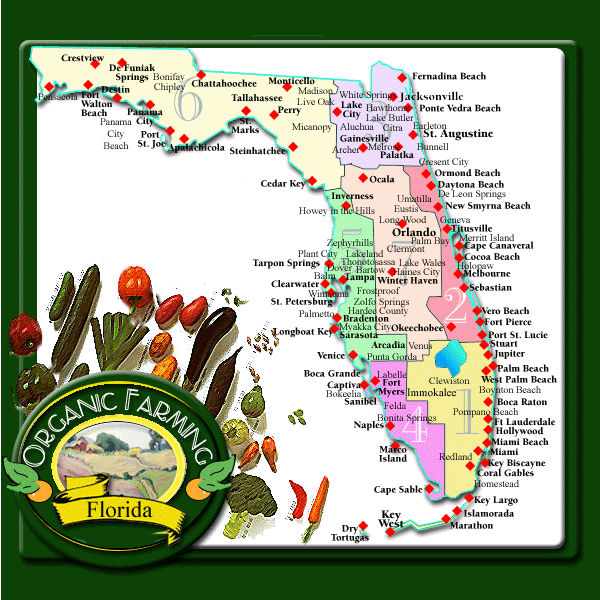 organic farms in Florida